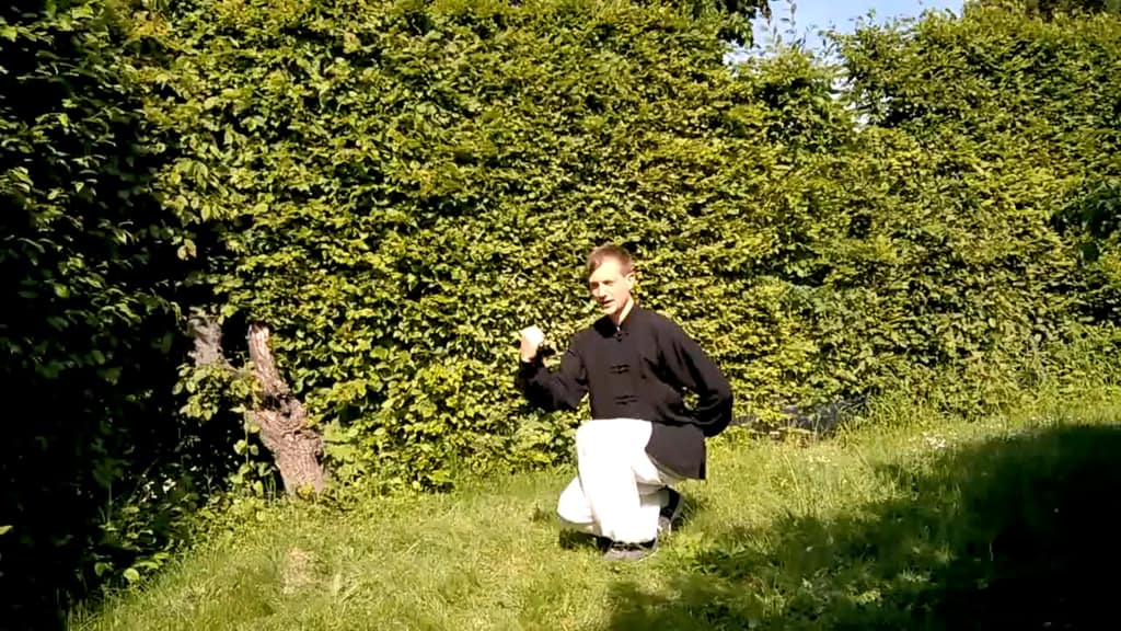 Taiji 13 Steps for Beginners Part 5