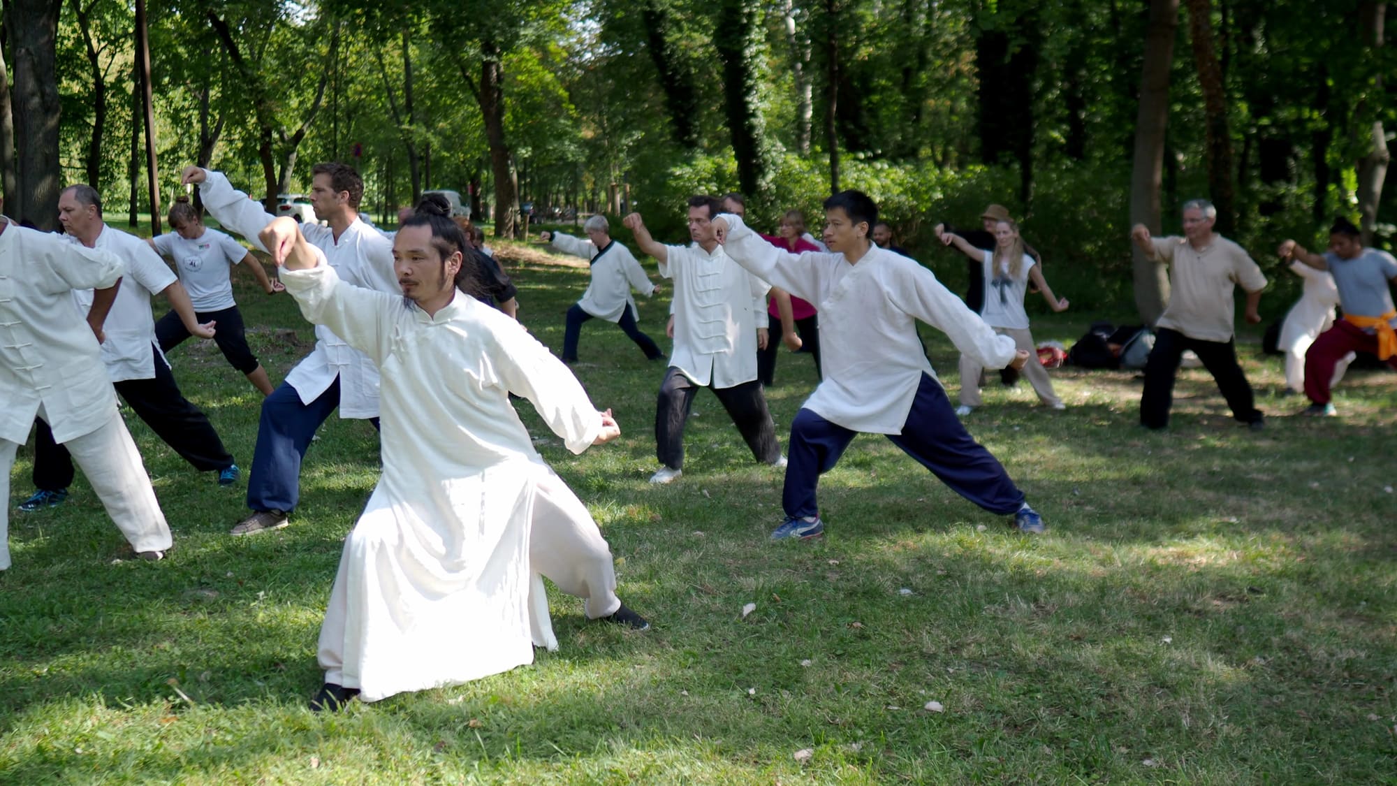 Revision of Tai He Quan Fajin Movements 1+2