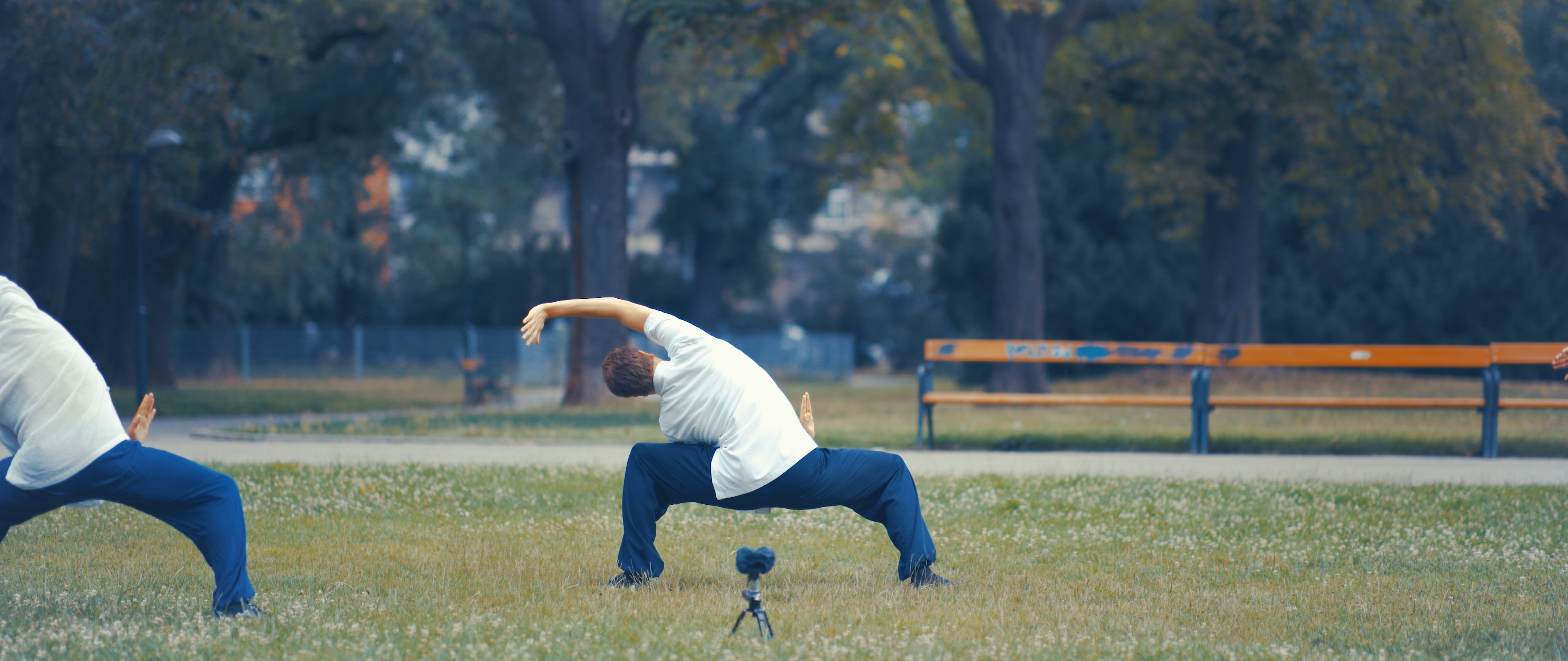 Five Animal Qi Gong Course – Beginner to Intermediate (5 Episodes)