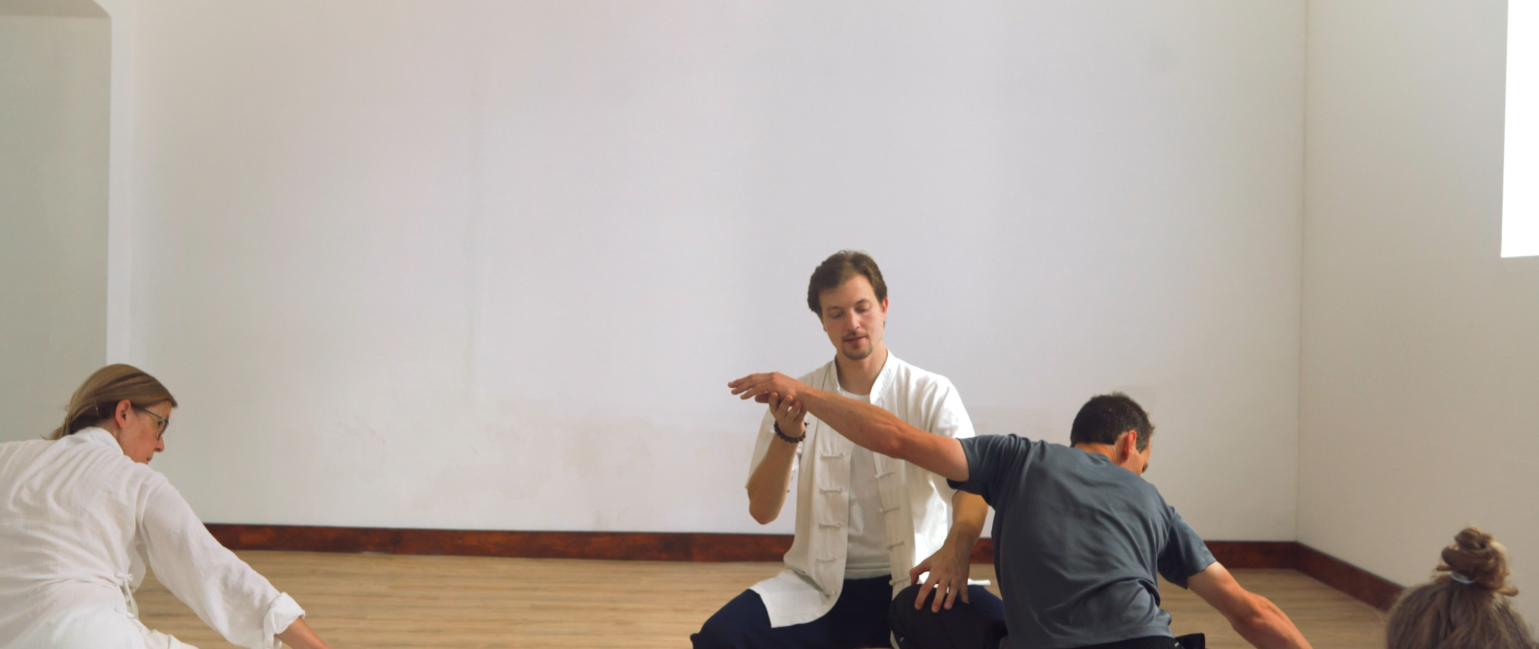 Leopard and Snake Qi Gong Seminar